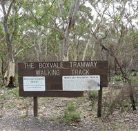 Box Vale Picnic Area - Tweed Heads Accommodation
