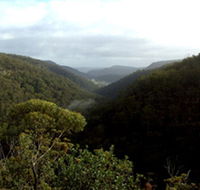 Nattai Gorge Lookout - Tweed Heads Accommodation