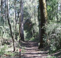 Box Vale Mine Walking Track and Lookout - Tweed Heads Accommodation