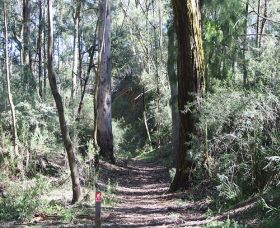 Box Vale Mine Walking Track And Lookout - Tweed Heads Accommodation 0
