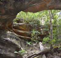 Cave Creek Walking Track - Tweed Heads Accommodation