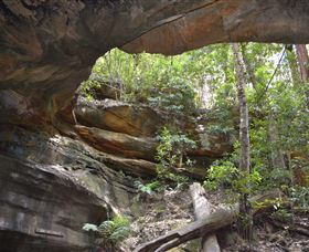 Cave Creek Walking Track - Tweed Heads Accommodation 0
