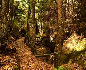 Cave Creek Walking Track - Tweed Heads Accommodation 2