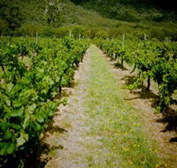 Gartelmann Wines - Tweed Heads Accommodation
