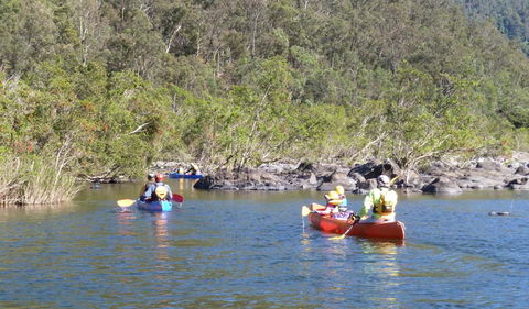 Nymboida National Park - Tweed Heads Accommodation 1