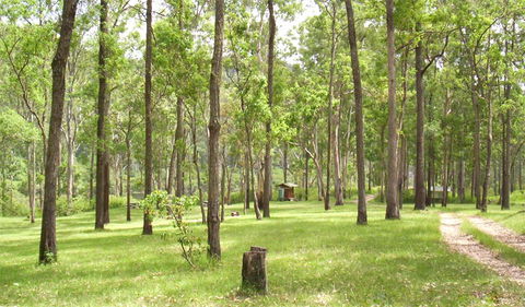 Nymboida National Park - Tweed Heads Accommodation 2