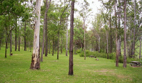 Nymboida National Park - Tweed Heads Accommodation 3