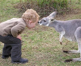 Hunter Valley Zoo - Tweed Heads Accommodation 3