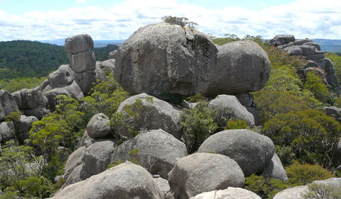 Cathedral Rock National Park - Tweed Heads Accommodation 0