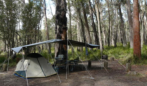 Cathedral Rock National Park - Tweed Heads Accommodation 1