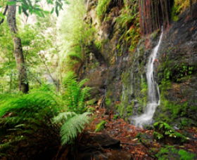 Fairy Bower Falls - Tweed Heads Accommodation 0
