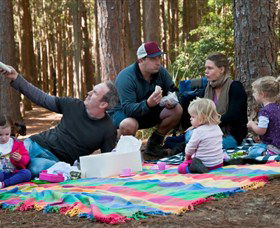 State Forests Of The Watagan Mountains - Tweed Heads Accommodation 0