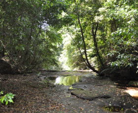 State Forests Of The Watagan Mountains - Tweed Heads Accommodation 1