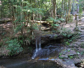 State Forests Of The Watagan Mountains - Tweed Heads Accommodation 3