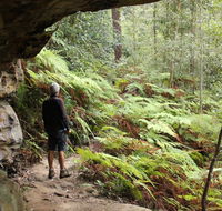 Dharug National Park - Tweed Heads Accommodation