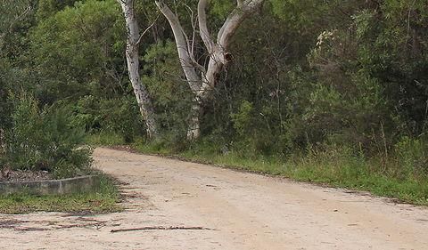 Riverview Walking Track - Tweed Heads Accommodation 0