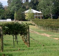 Camden Estate Wines - Tweed Heads Accommodation