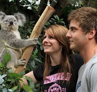 Featherdale Wildlife Park - Tweed Heads Accommodation