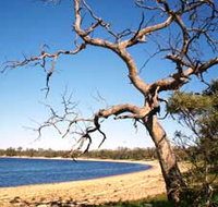 Lake Indoon - Tweed Heads Accommodation