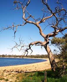 Lake Indoon - Tweed Heads Accommodation 0