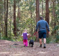 Olney State Forest - Watagan Mountains - Tweed Heads Accommodation