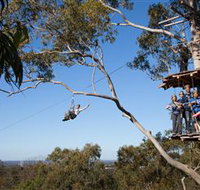 TreeTop Safari - Tweed Heads Accommodation