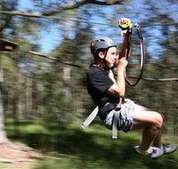 TreeTop Adventure Park Sydney - Tweed Heads Accommodation
