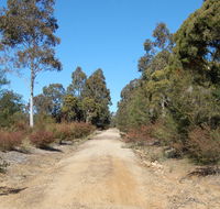 Werakata National Park - Tweed Heads Accommodation