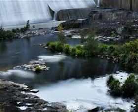 Chichester Dam - Tweed Heads Accommodation 1