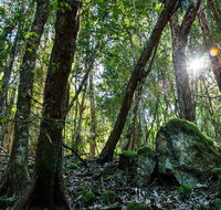 Copeland Tops State Conservation Area - Tweed Heads Accommodation