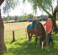 Sugarloaf Horse Centre - Tweed Heads Accommodation