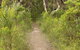 Three Views Walking Track - thumb 0