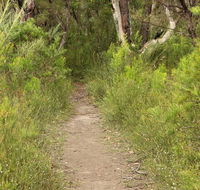 Three Views walking track - Tweed Heads Accommodation