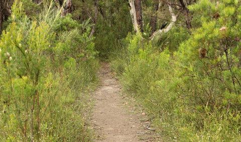 Three Views Walking Track - Tweed Heads Accommodation 0