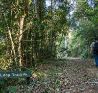 Basin Loop track - Tweed Heads Accommodation