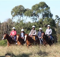 Sydney Trail Riding Centre - Tweed Heads Accommodation