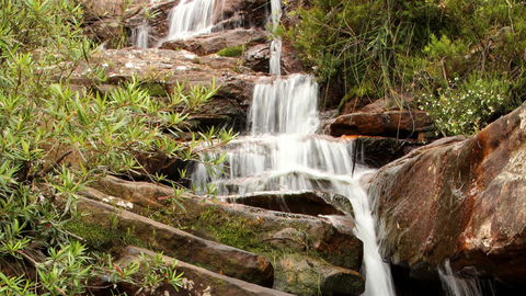Popran National Park - Tweed Heads Accommodation 1