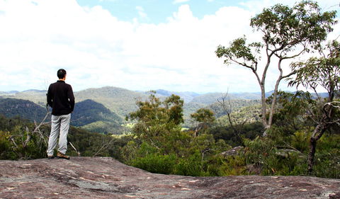 Popran National Park - Tweed Heads Accommodation 0