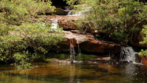 Popran National Park - Tweed Heads Accommodation 2