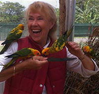Maleny Botanic Gardens  Bird World - Tweed Heads Accommodation