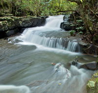 Jerusalem Creek trail - Tweed Heads Accommodation