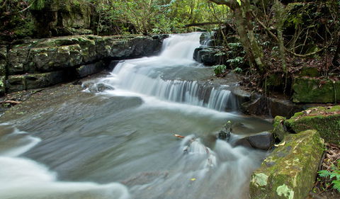 Jerusalem Creek Trail - Tweed Heads Accommodation 0