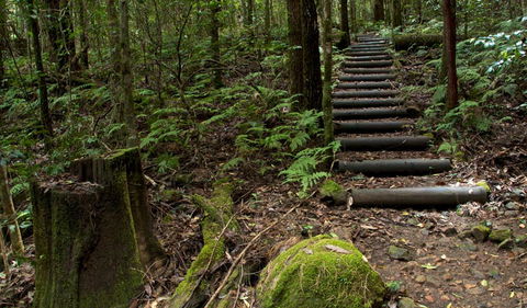 Jerusalem Creek Trail - Tweed Heads Accommodation 2
