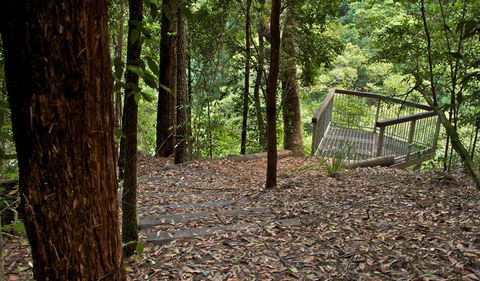 Jerusalem Creek Trail - Tweed Heads Accommodation 3