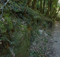 Hidden Treasure track - Tweed Heads Accommodation