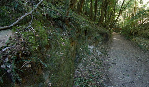Hidden Treasure Track - Tweed Heads Accommodation 0