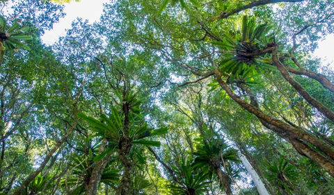 Hidden Treasure Track - Tweed Heads Accommodation 2