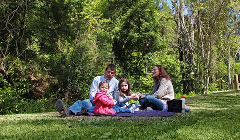 Hidden Treasure Picnic Area - Tweed Heads Accommodation 0