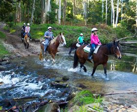 Glenworth Valley Horse Riding - Tweed Heads Accommodation 1