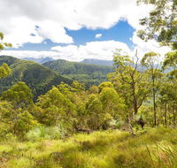 Toonumbar National Park - Tweed Heads Accommodation